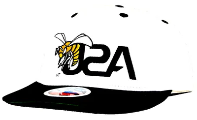 Alabama State Hornets
