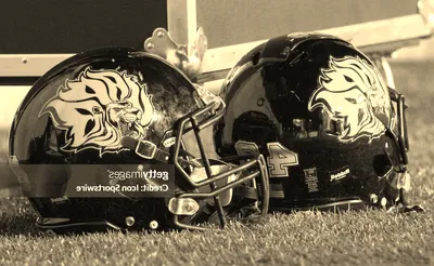 Arkansas-Pine Bluff Golden Lions