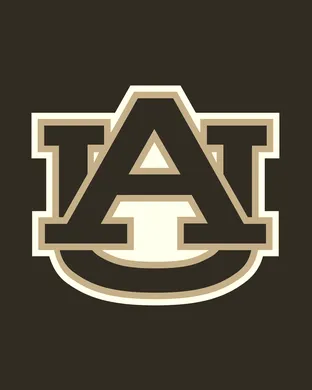 Auburn Tigers vs. Middle Tennessee State Blue Raiders