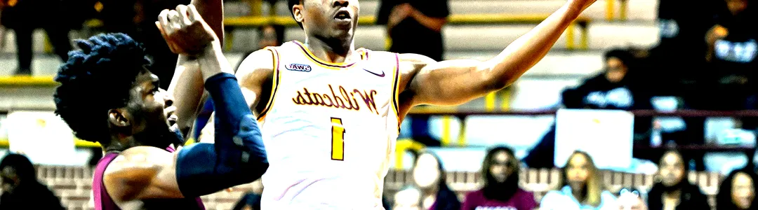 Bethune-Cookman Wildcats Basketball