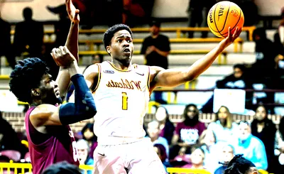 Bethune-Cookman Wildcats Basketball