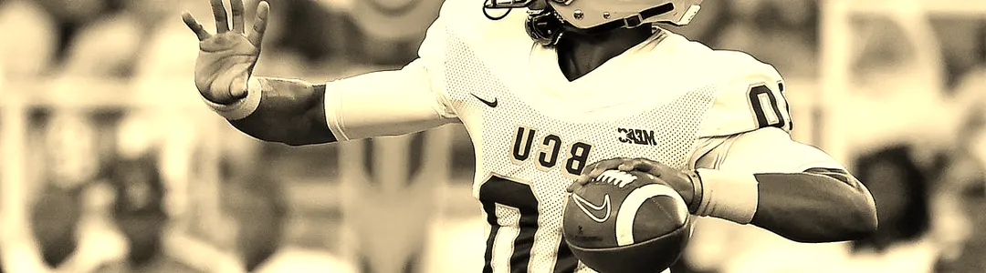 Bethune-Cookman Wildcats