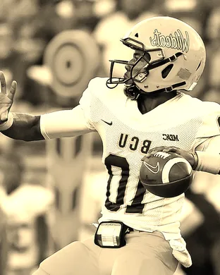 Bethune-Cookman Wildcats