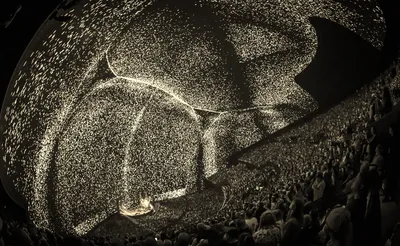 Phish