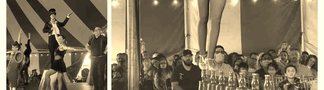 Venardos Circus
