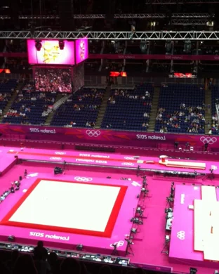 Extreme Dwarfanators Wrestling