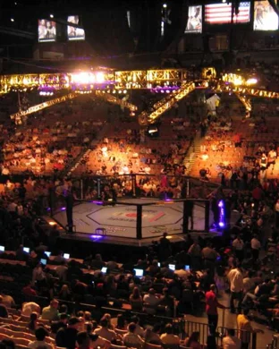 Professional MMA: Cage Fighting Championships