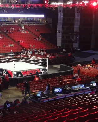 Professional MMA: Cage Fighting Championships